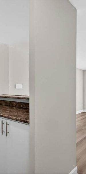 VILLERAY - 1 chambre 1 salle de bain TOUT INCLUS 1575$ par mois - Photo 1