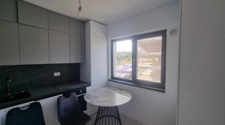 1 camera, decomandat, 40 mp, de inchiriat apartament in zona Visani, TLT Visan, Cod 163393 - Fotografie 4