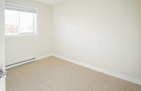 51 Flower Place, Blumenort, MB - Photo 5