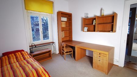 4 Zimmer-Wohnung in Zürich - Kreis 7 Fluntern, möbliert, auf Zeit - Photo 3