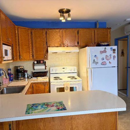 Beautiful 4-1/2 near de la Concorde metro and train station - Photo 3