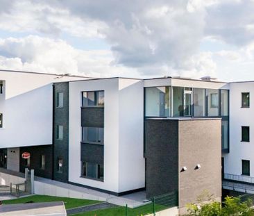 Appartement te huur in Ans voor € 925 met 1 slaapkamer - Foto 6