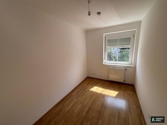 Helle 2-Zimmer Wohnung mit neuer Einbauküche - Foto 1