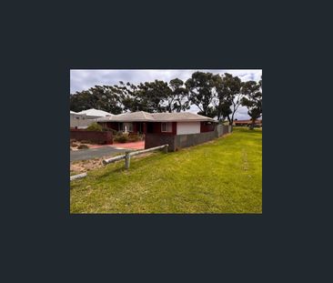 A Retro Rarirty - Photo 5