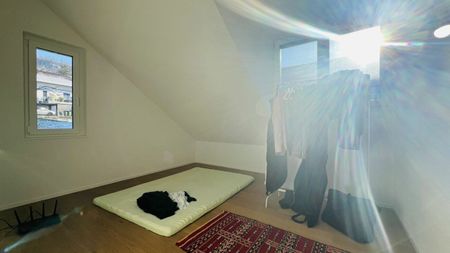 Exklusives Neubau 5.5-Zimmer Einfamilienhaus mit Carport, Terrasse, Garten und 2 Badezimmern - Photo 5