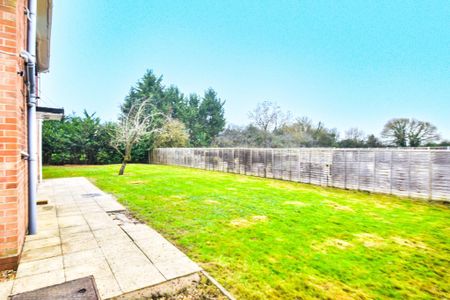 3 bedroom detached house to rent - Photo 3