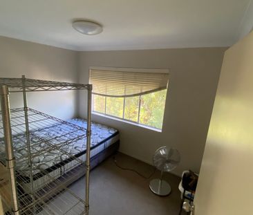 Balgowlah - Photo 3