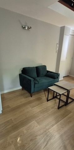 Location Appartement 1 pièce 23m² LILLE 59000 - Photo 1