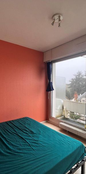 Location Appartement 1 pièce 16m² BLOIS 41000 - Photo 1