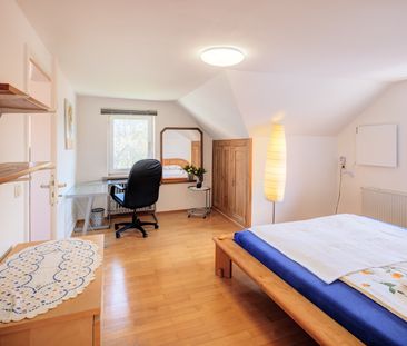 Charming apartment for rent in Pasing - Photo 5