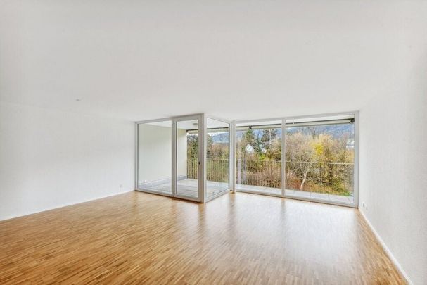 Living close to nature at the gates of Zurich - Photo 1