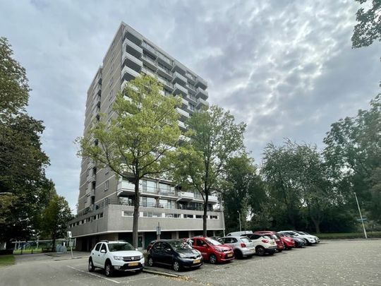 Te huur: Appartement Graaf Janstraat in Zoetermeer - Photo 1