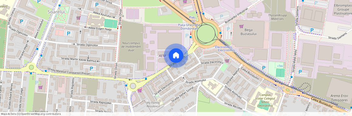 Timis, Timisoara