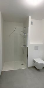 Location Appartement 2 pièces 40m² TOURS 37100 - Photo 3