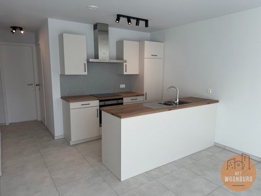 Appartement te huur in Dilbeek - Foto 1
