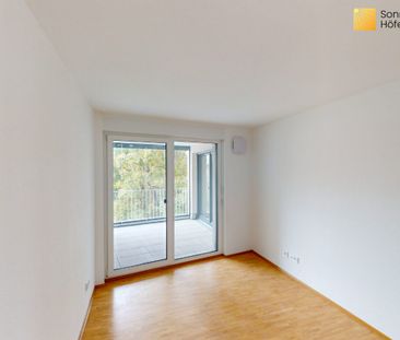 Neu auf dem Sonnenhügel: Kompakte 4-Zimmer-Wohnung mit Loggia und s... - Photo 2