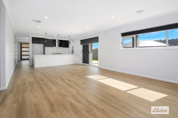 Brand-new Afonso build! - Photo 1