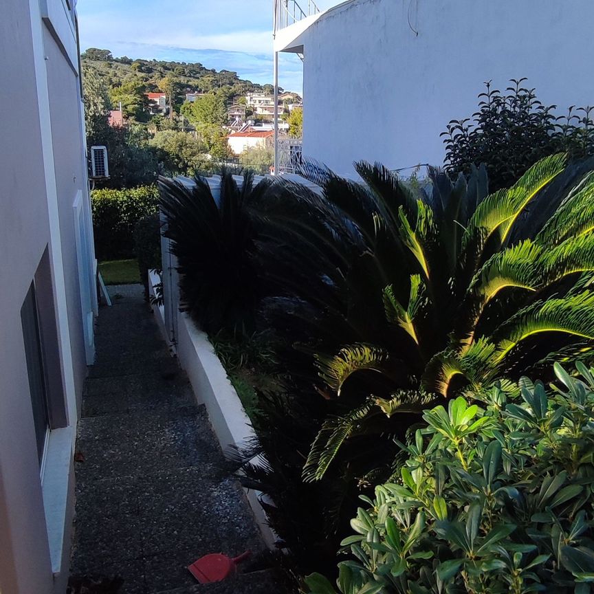 Ενοικίαση κατοικίας, 260 τ.μ., Άρτεμις, 1.300 € - Photo 1