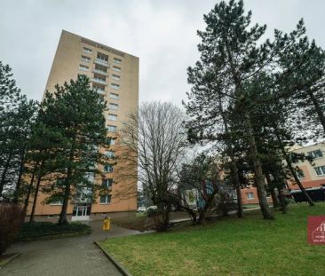 Pronájem 1+kk / upravené 1+1 | Žitná, Brno Řečkovice - Photo 3
