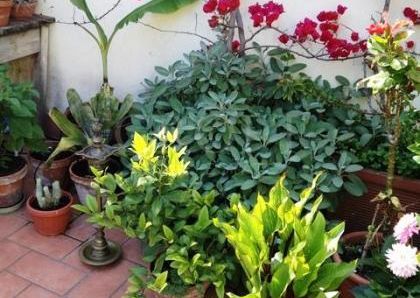 Attic-Piazza Navona: Short Stay. beautiful, fully furnished 1 Bedroom + Guest bed, 1 bath in period building with 2 large private terraces. Parquet floors, air conditioning, chef's kitchen, views, silent and bright. #2064