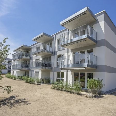 Rent a 2 ½ rooms apartment in Roggwil - Photo 3