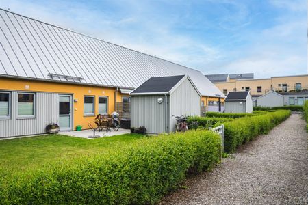 Lilla Möllevångsgatan 10 - Photo 5