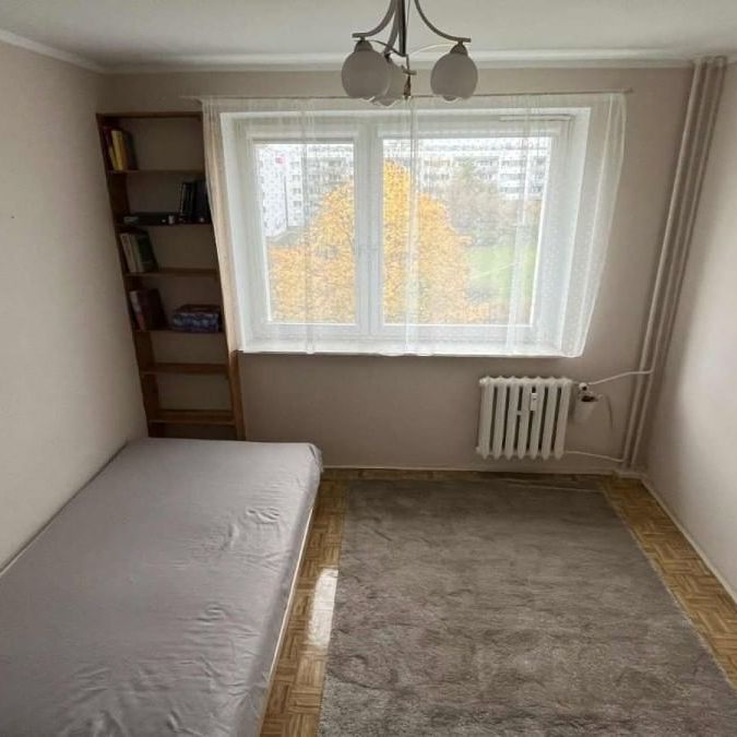 3-pok. mieszkanie dla rodziny 63 m² - Photo 1
