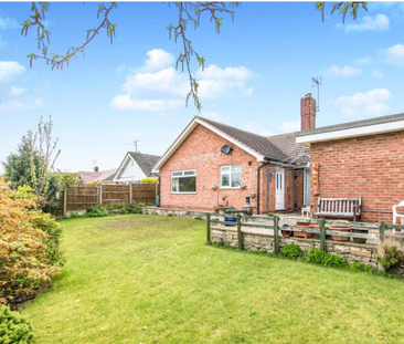 3 bedroom bungalow to rent - Photo 5