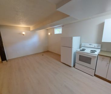 AVAILABLE NOW SPACIOUS 2 BEDROOM RENOVATED BASEMENT SUITE - Photo 1