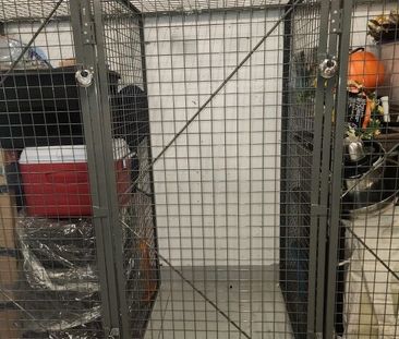 2bed 1bath Condo; Lodges – Available December 1 – Unit 1-501 - Photo 3