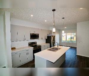 3 Bed 2.5 Bath Dbl Garage Sienna Fort Saskatchewan - Photo 4