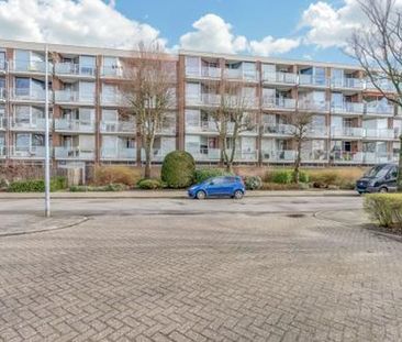 Hadewijchstraat 1813 Alkmaar - Foto 4