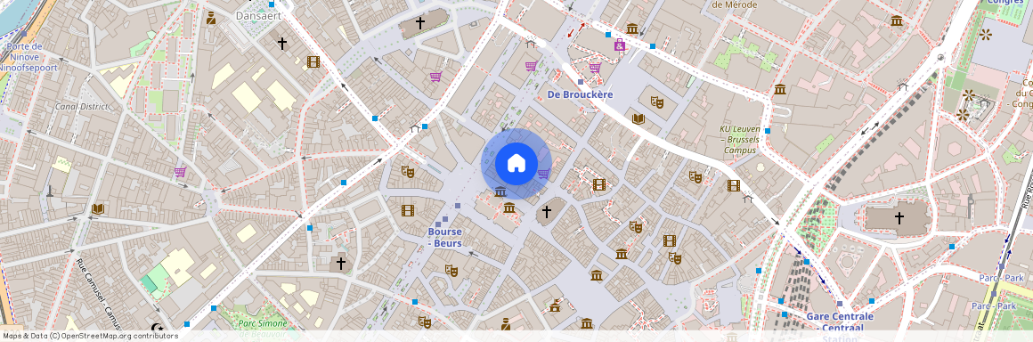 Kiekenmarkt 45 / 101, 1000 Brussel