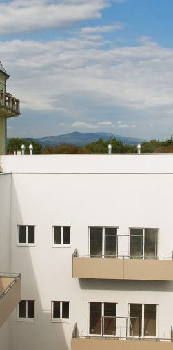 2524 Teesdorf, Spinnerei - Foto 2