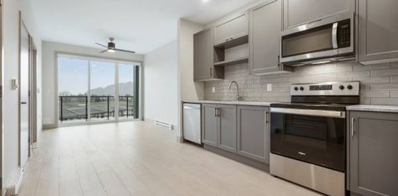 UNIT 1207 - BRAND NEW!! Vantage 1 bedroom + Den units - Photo 2