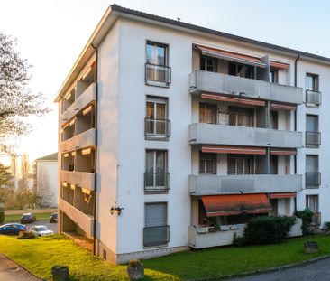 Quartier calme - Contrat de durée déterminée au 31.08.2025 - Photo 2