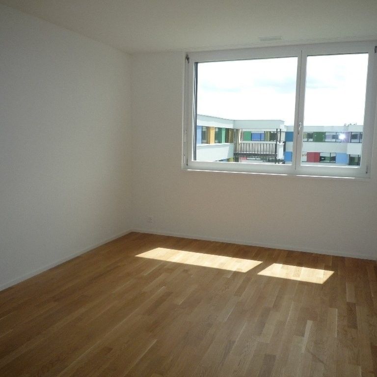 3 ½ Zimmer-Wohnung in Schwerzenbach mieten - Photo 1