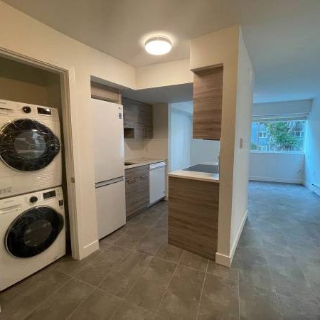 2BD 2BA NEWLY RENO. APARTMENT, PET FDLY, NEW APPLIANCES - Photo 3