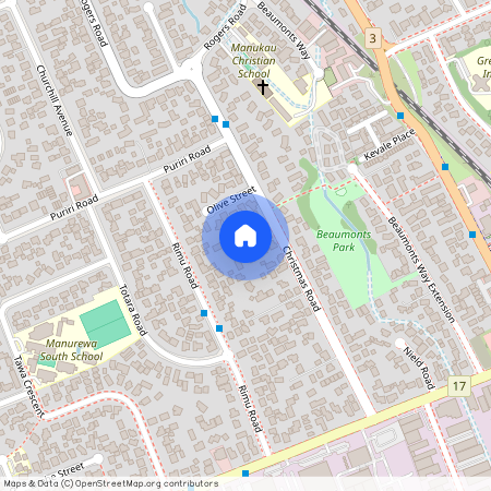 56 Christmas Road, Manurewa, Manukau City