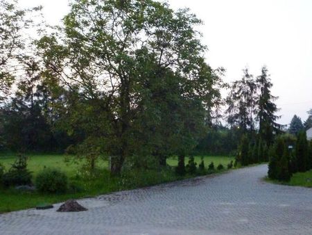 Warszawa, Wilanów, Kępa Zawadowska - Фото 5