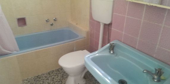 Updated 1 Bedroom Apartment in Convenient Location - Photo 2