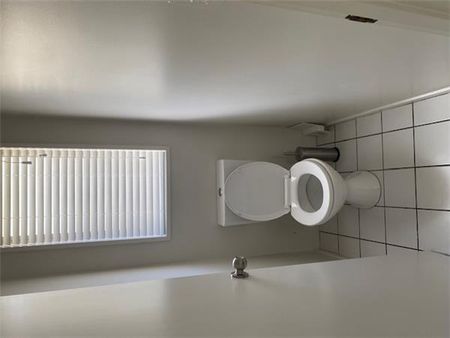 60A Winton Street, St Albans, Christchurch City - Easycare Living in a Popular Location - Photo 4