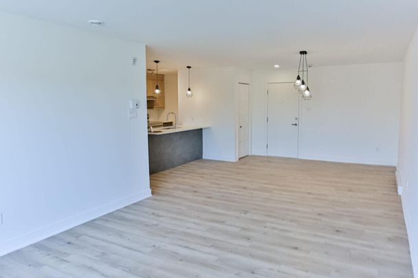 Rg de la Petite-Noraie, J6E 8Y8, Saint-Charles-Borromée - Photo 1