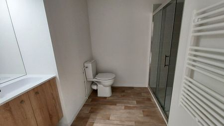 Location Appartement 1 pièce 22m² JOUE LES TOURS 37300 - Photo 2