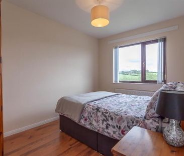 16 Winchester Road, Carryduff, Belfast, BT8 8QQ - Photo 6