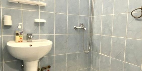 Garsoniera zona Buziasului langa Profi - Fotografie 3