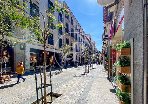 Flat for rent in Sol (Madrid)