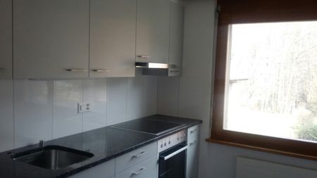 3.5 Zimmer, 76 m², 1. Stock - Photo 2