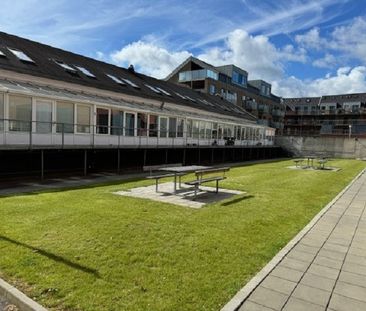 Dejlig 2-værelses lejlighed i hjertet af Odense - Photo 1