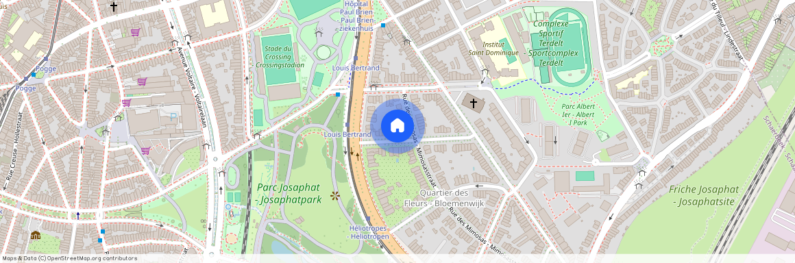 Avenue Des Capucines - Kapucijnbloemenlaan, 14, 1030, Schaerbeek - Schaarbeek